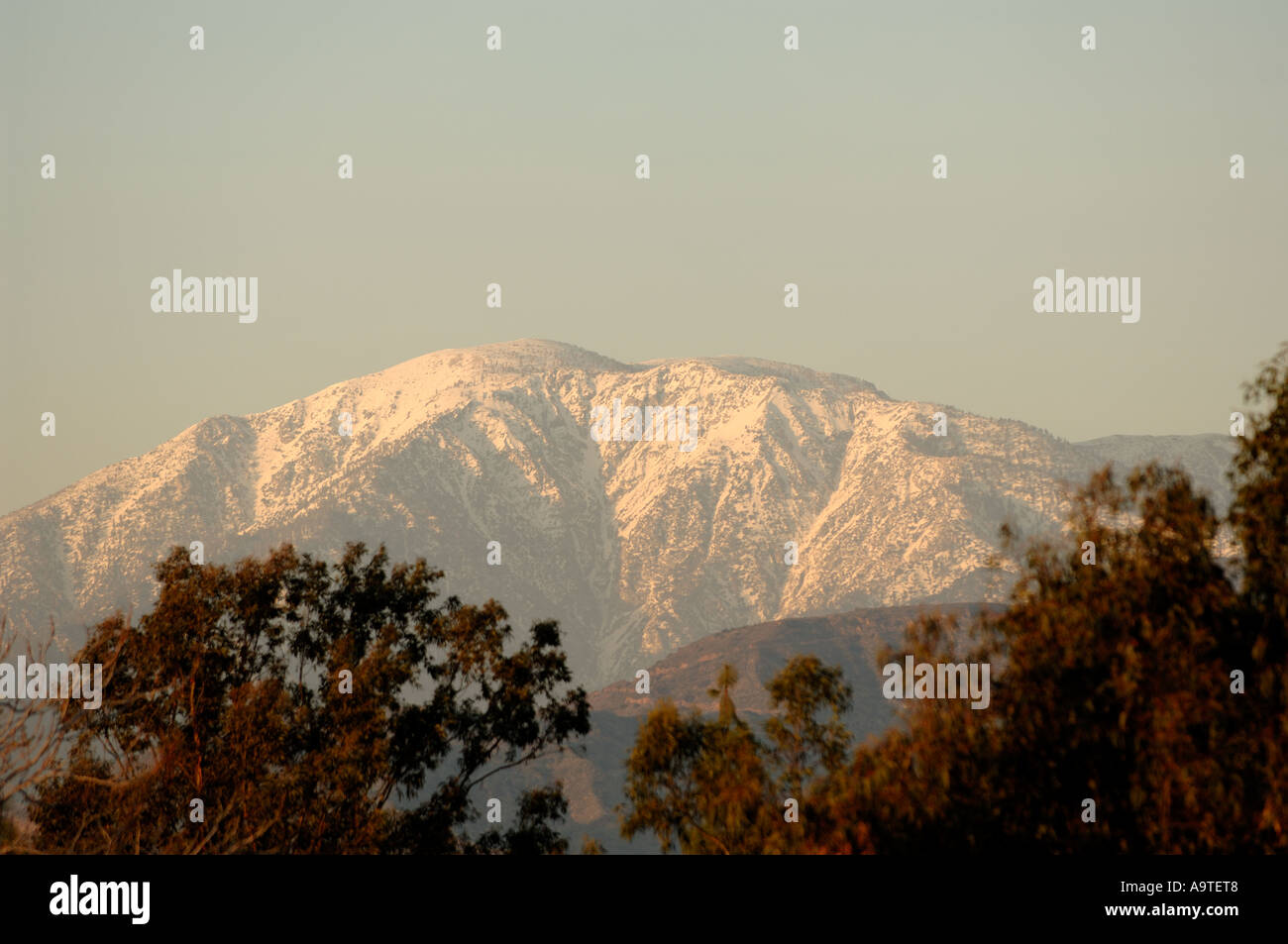 Mount Baldy oder Mt-San Antonio-Blick aus dem Tal Stockfoto