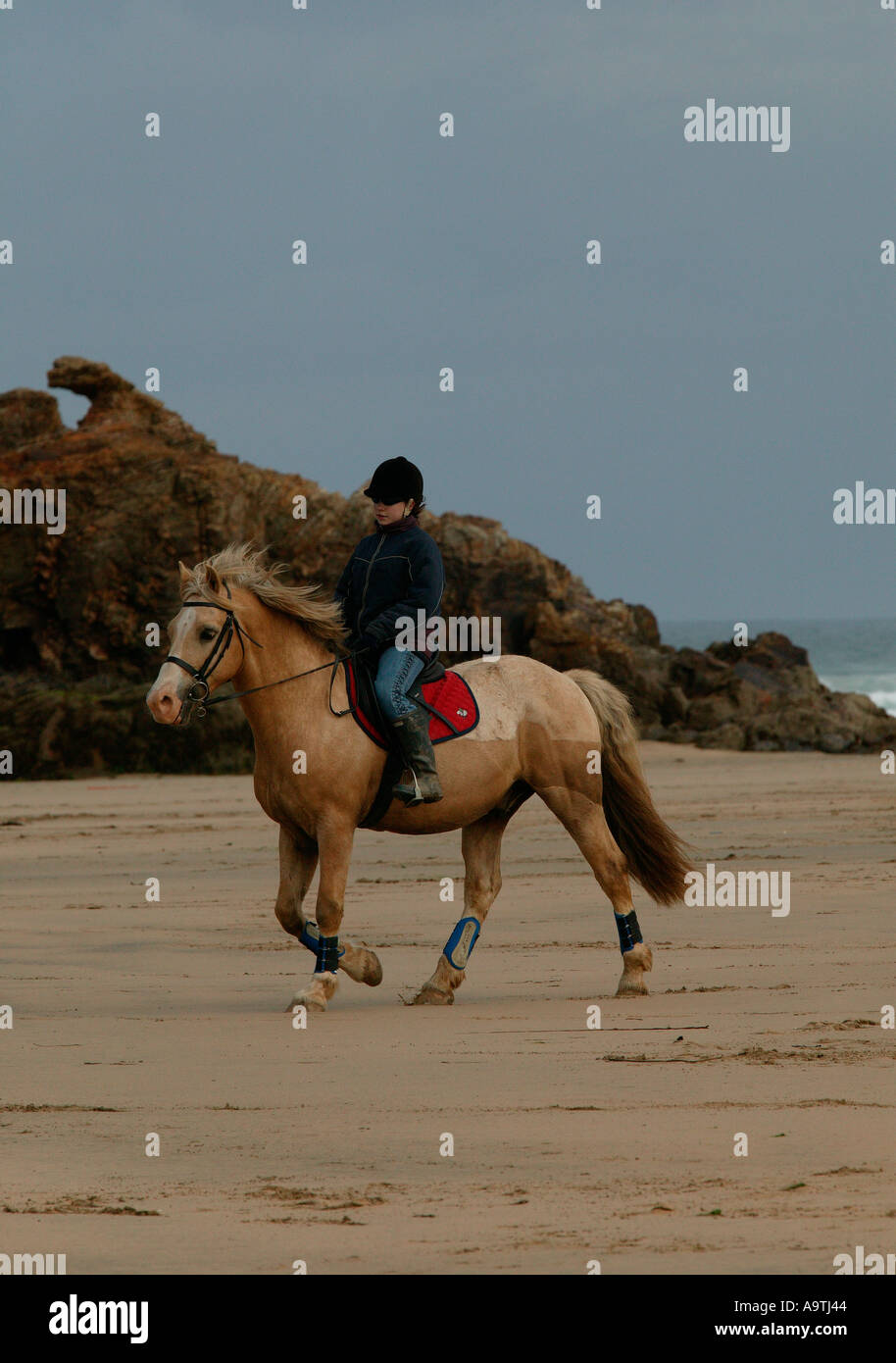 Weibliches Pferd und Reiter auf Perranporth Strand, Cornwall, England, UK Stockfoto