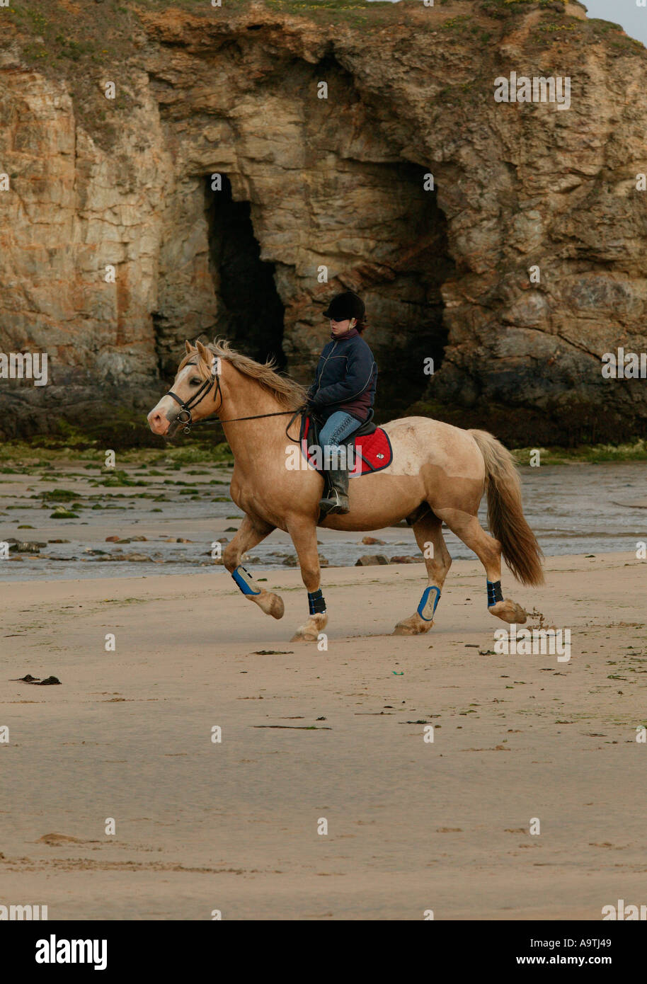 Weibliches Pferd und Reiter auf Perranporth Strand, Cornwall, England, UK Stockfoto