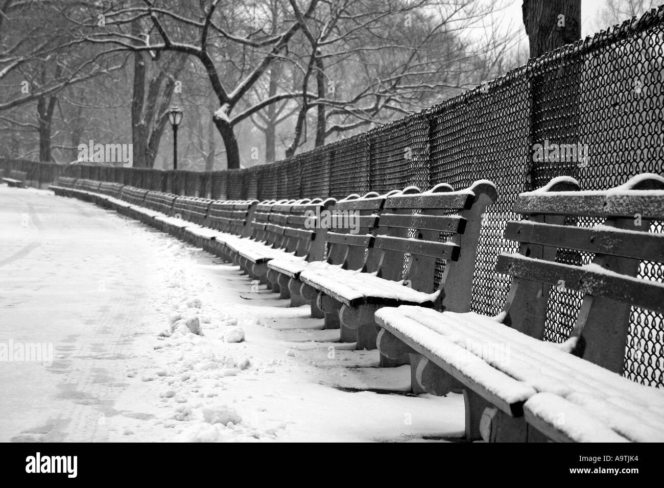Reihe von Bänken im Schnee, Central Park, New York City Stockfoto