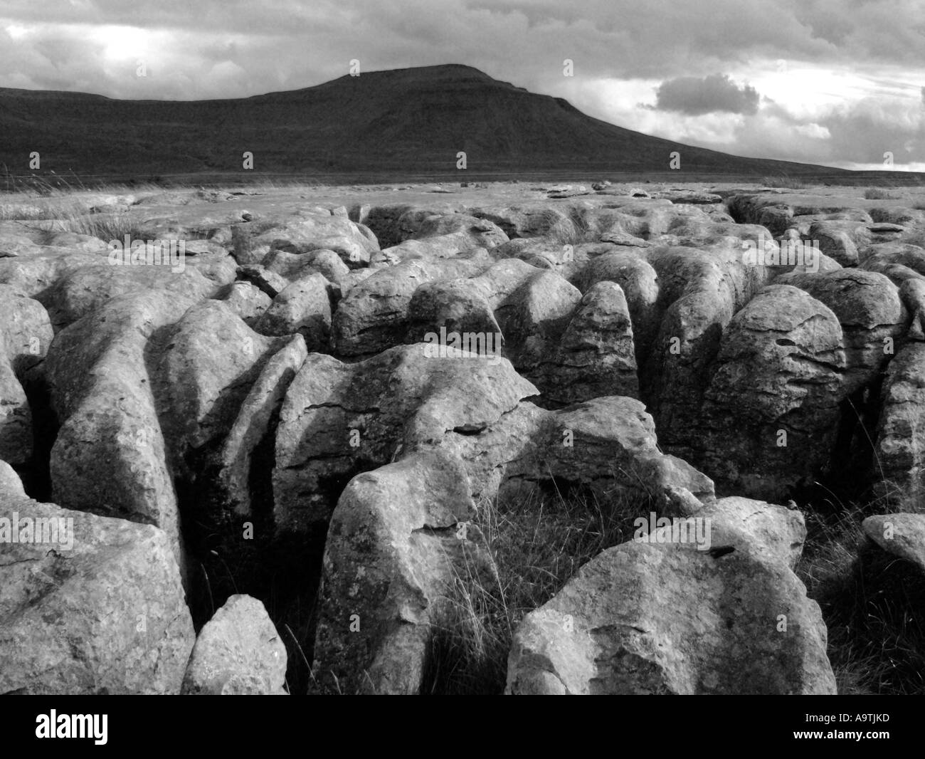 Ingleborough mit einem Vordergrund Kalkstein Pflaster, entnommen aus Schuppen Moor, Yorkshire Dales National Park, North Yorkshire, UK Stockfoto