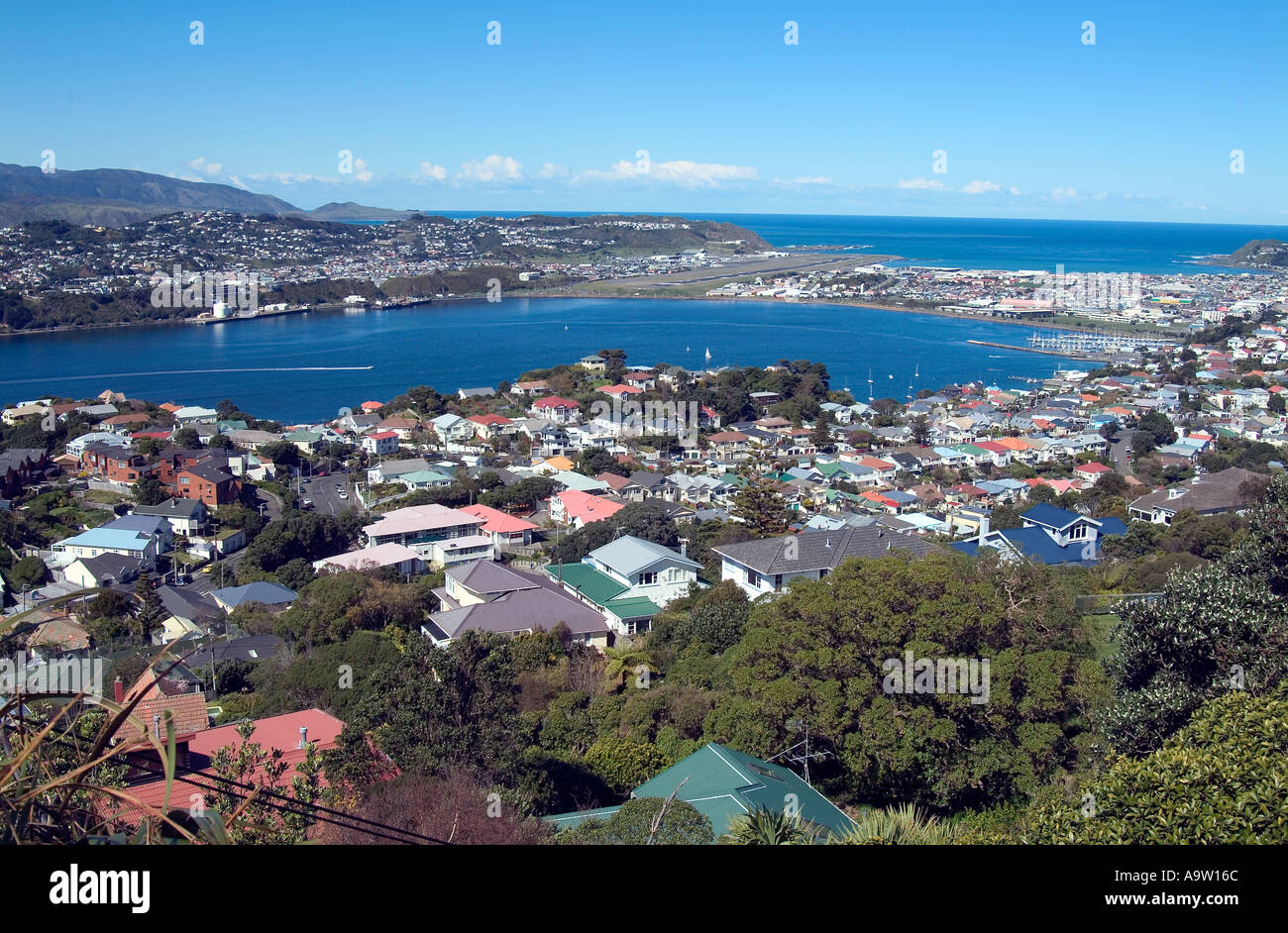 Blick auf die Stadt von Wellington New Zealand Blick in Richtung Wellington International Airport Stockfoto