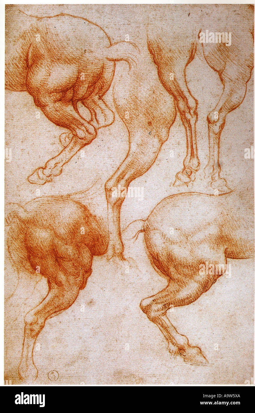 Studie der Hinterbeine des Pferdes von Leonardo da Vinci Stockfoto