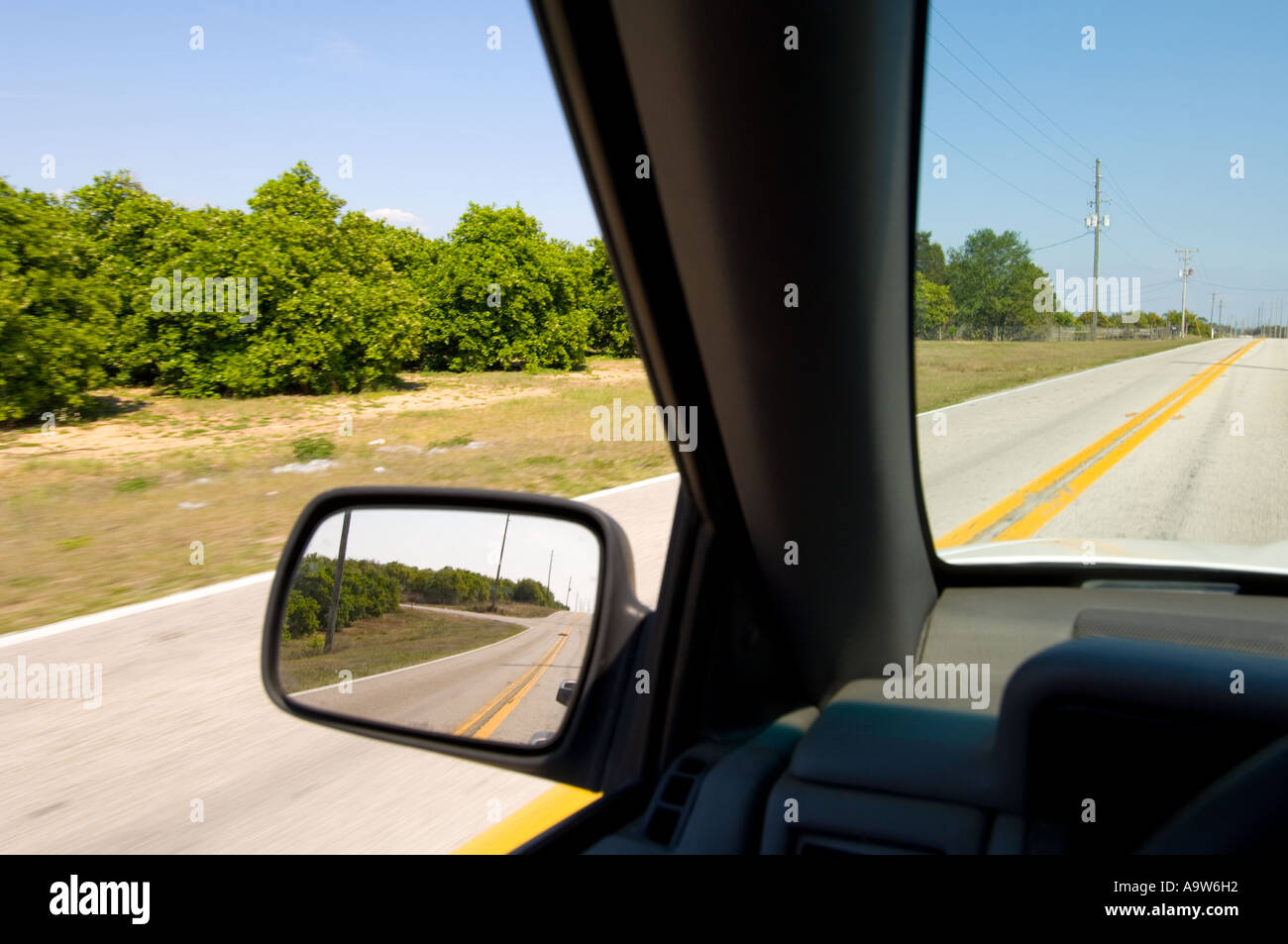 Blick von innen Auto orange Grove und Straße in Florida USA Stockfoto