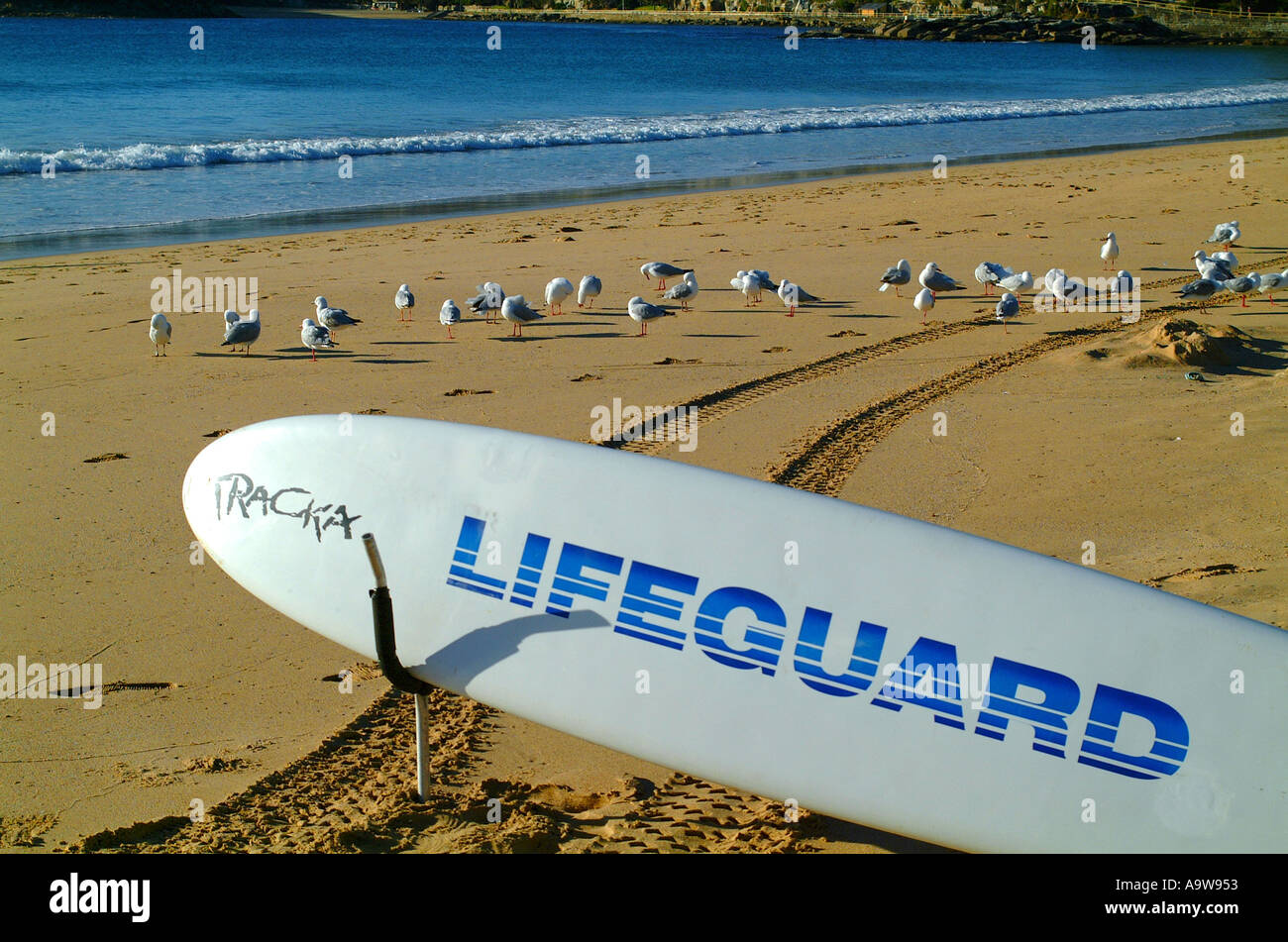 SURFBOARD0062 Stockfoto