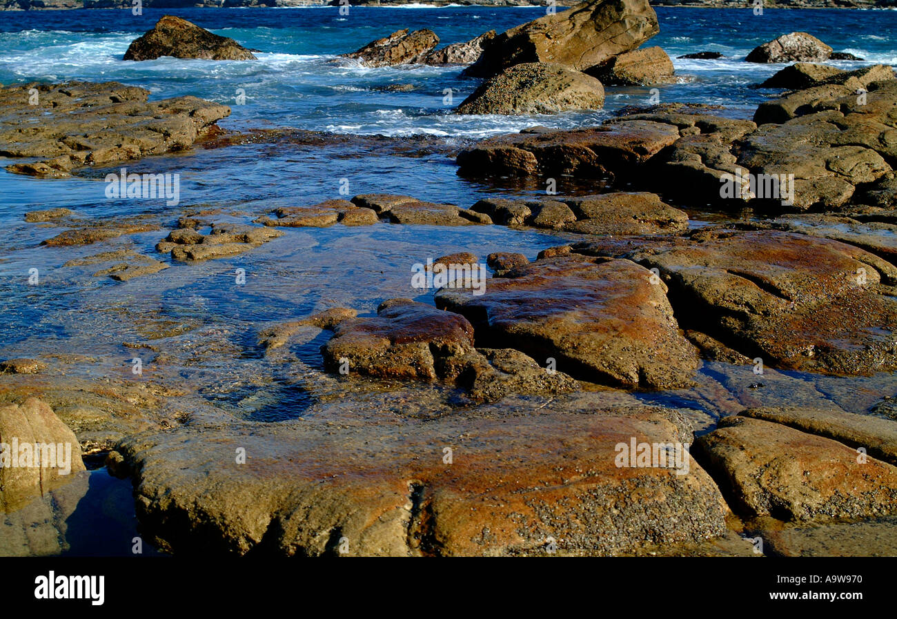Meerwasser und Welle am Bondi beach Stockfoto