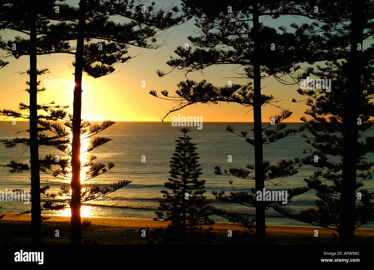Sonnenaufgang am Manly Buche, North Shore, Sydney Stockfoto
