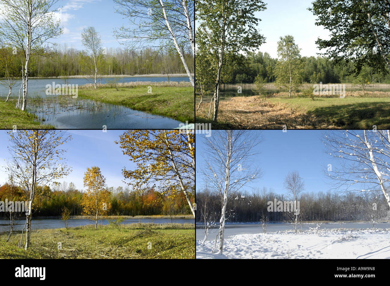 4 Jahreszeiten-Bilder - Suche DENNIS MACDONALD 4 Jahreszeiten für eine komplette größere Auswahl an den einzelnen Abbildungen Stockfoto