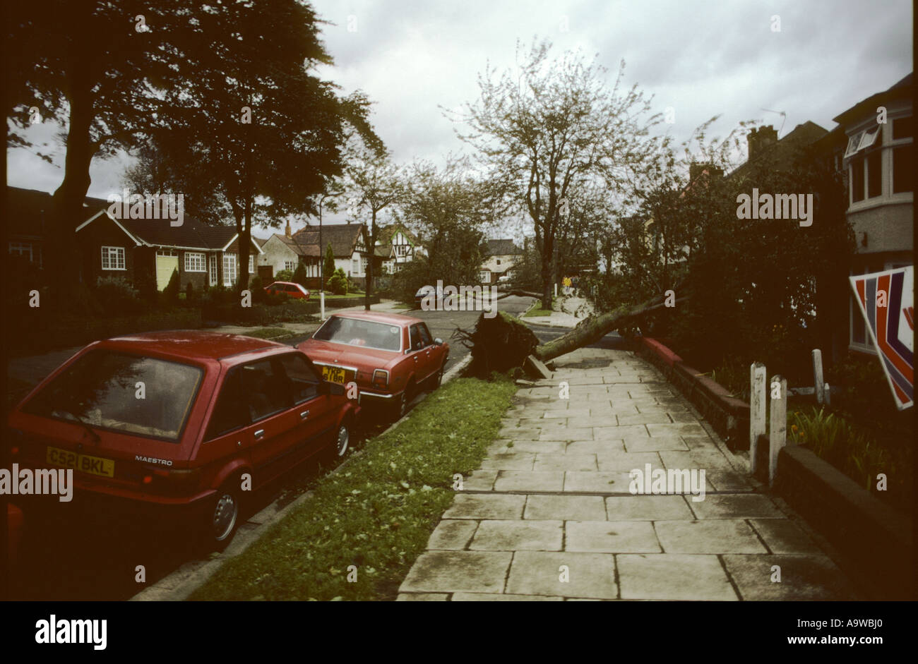 Die Folgen des Sturms Gravesend Kent 1987 Stockfoto