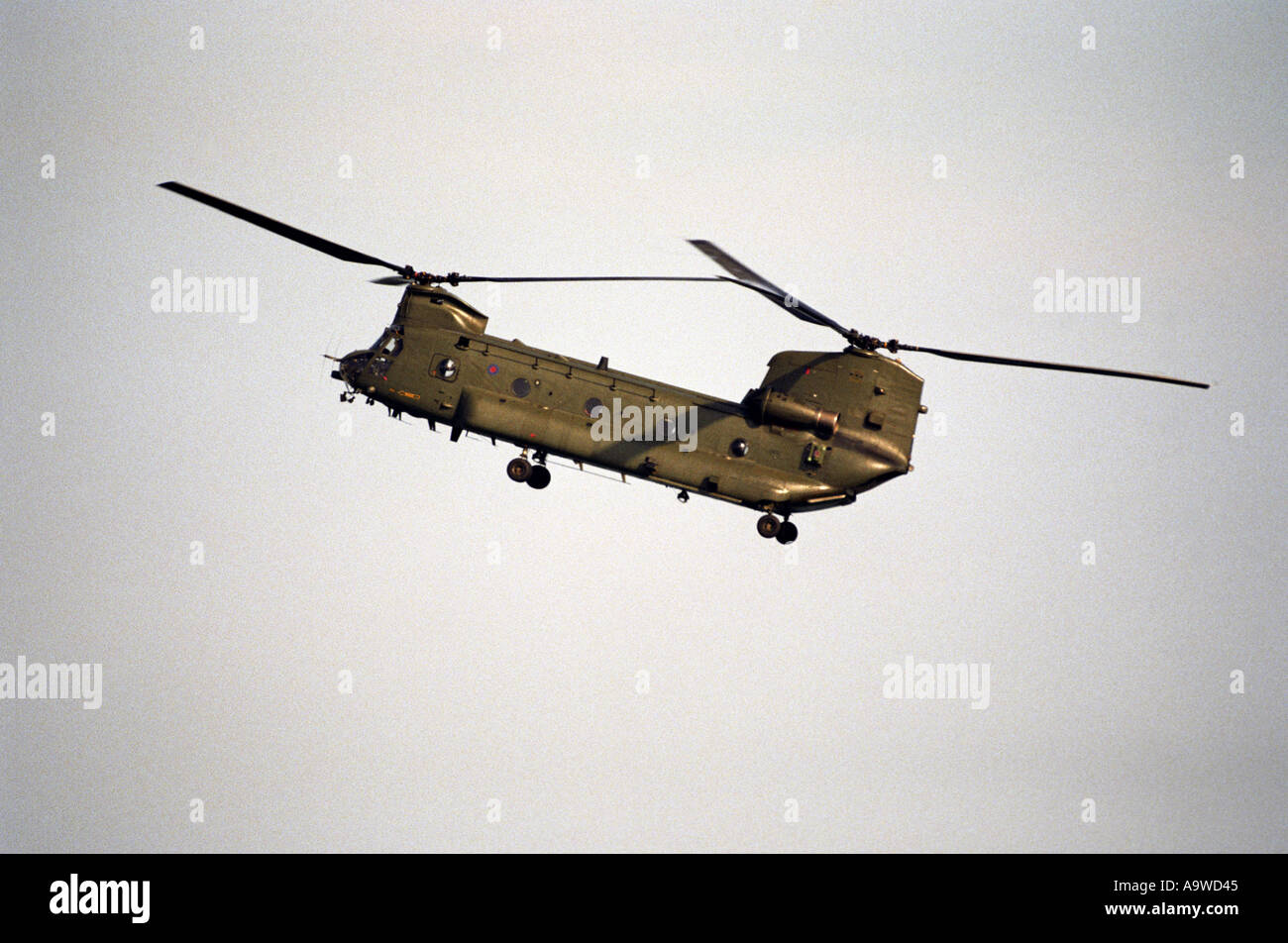 RAF Chinook-Hubschrauber Stockfoto