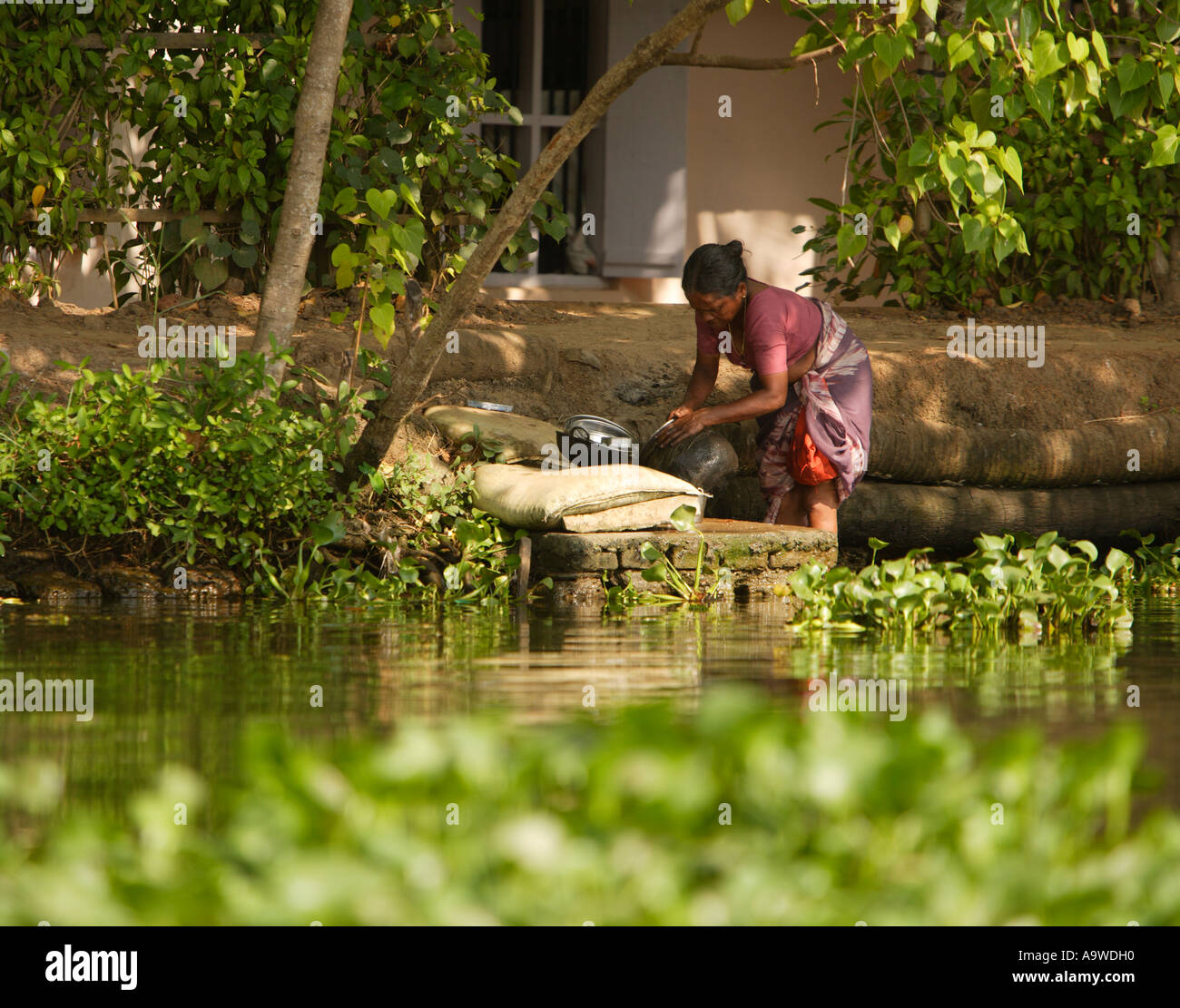 Frau arbeitet an Keralas Backwaters, Alappuzha (Alleppey), Kerala, Südindien Stockfoto