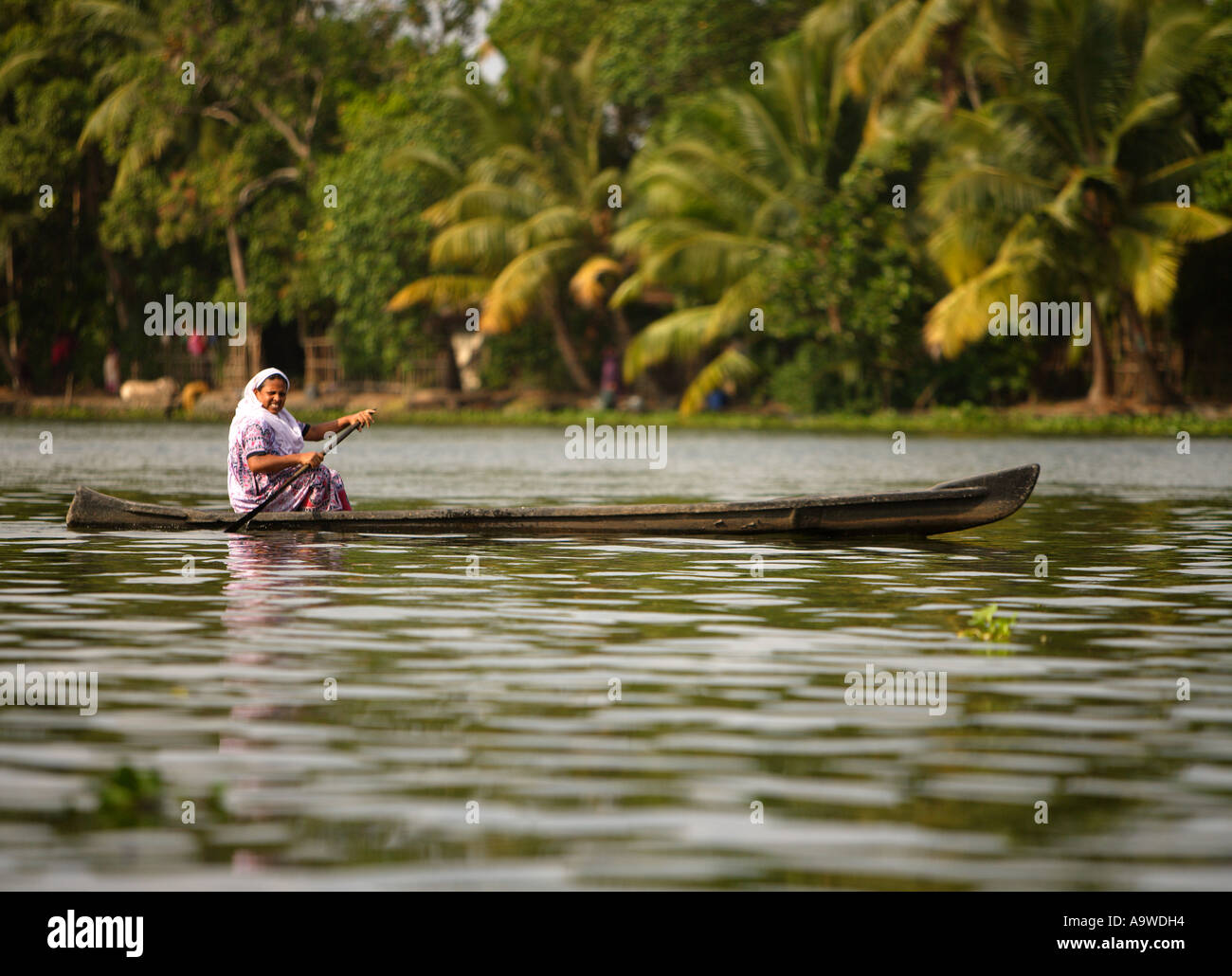 Frau Ruderboot am Keralas Backwaters, Alappuzha (Alleppey), Kerala, Südindien Stockfoto