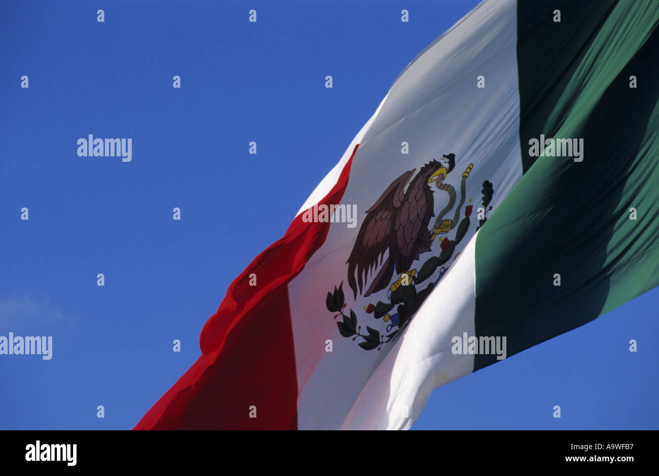 Mexiko, das mexikanische Nationalflagge schweben durch den Wind Stockfoto