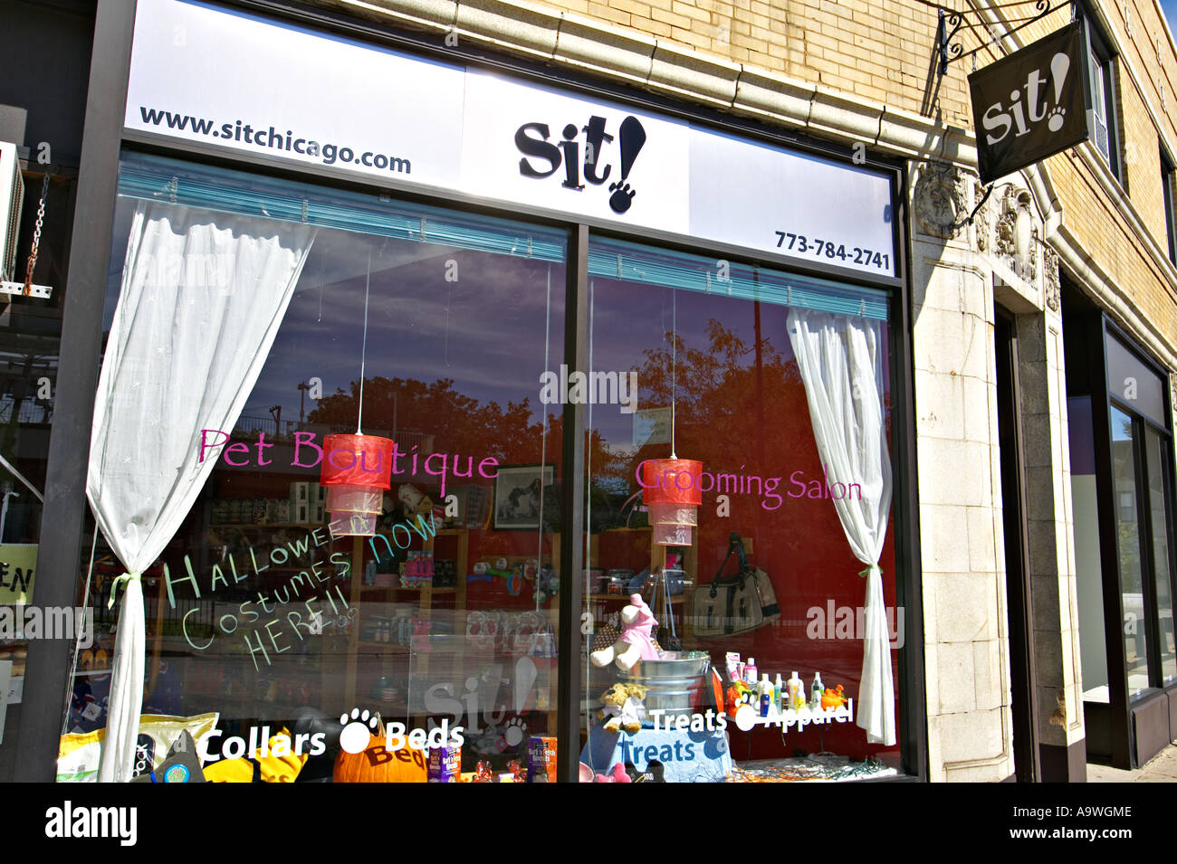 STREET SCENE Chicago Illinois Boutique speichern für Hunde sitzen Chicago Storefront des Shops Stockfoto