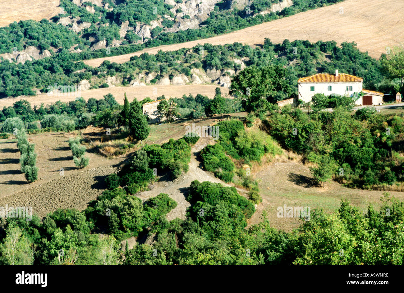 Italien, Toskana, Bauernhaus in der ländlichen Toskana, erhöht, Ansicht Stockfoto