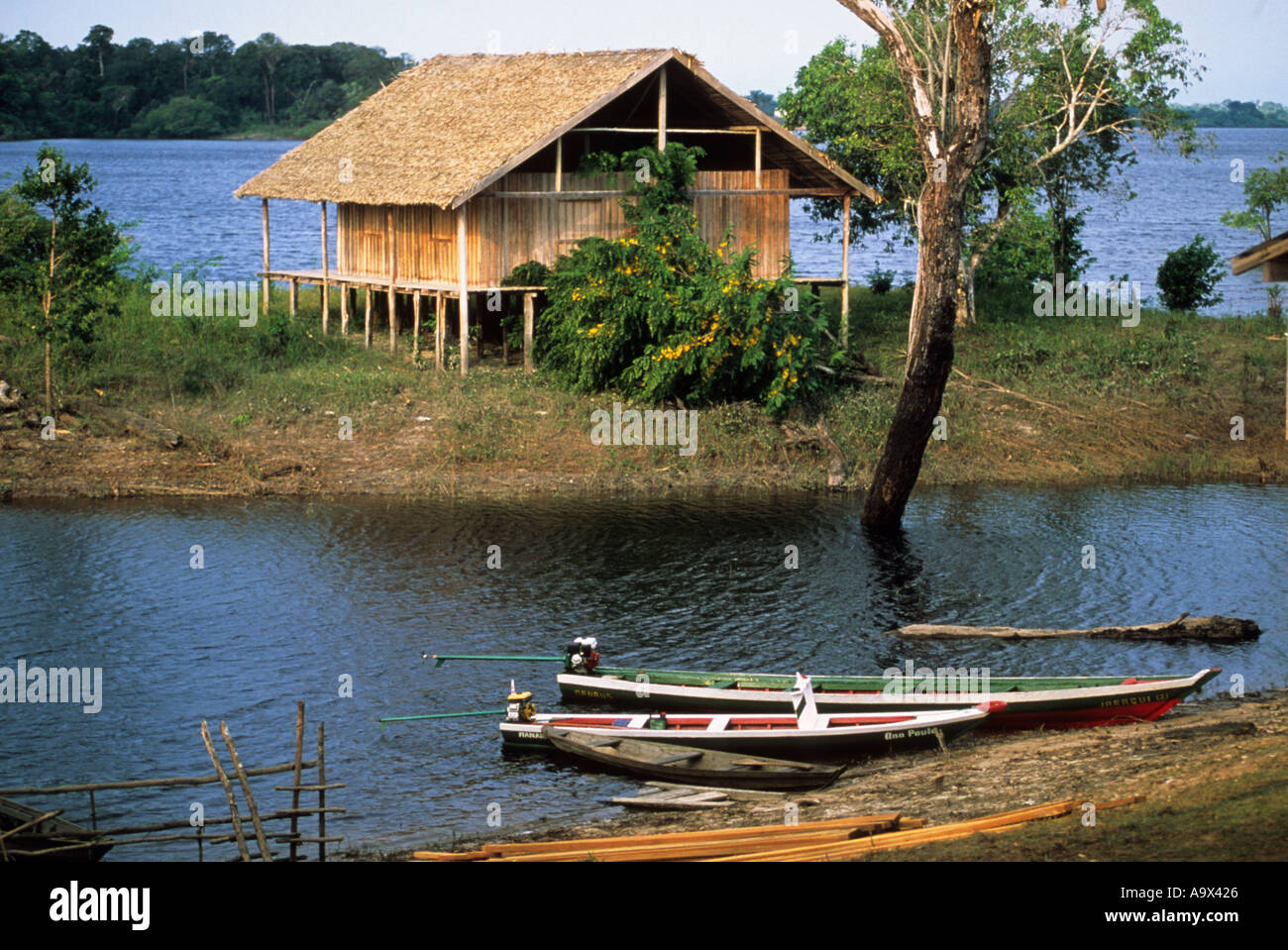 Amazonas, Brasilien. Haus auf Stelzen an den Ufern des Rio Negro,  unterzubringen jährlichen Anstieg und Rückgang der Flusspegel gebaut  Stockfotografie - Alamy