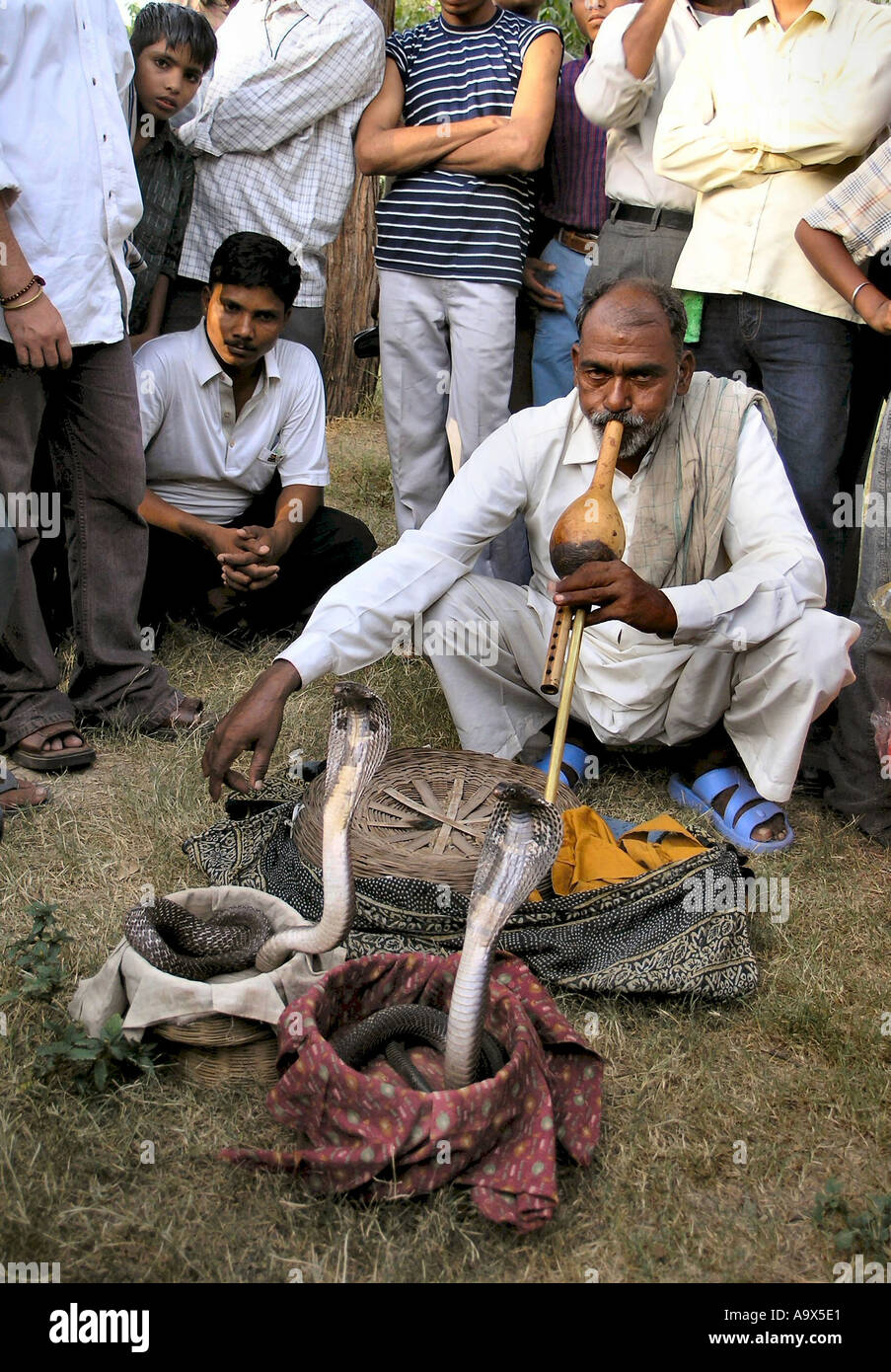 Snake Charmer Stockfoto