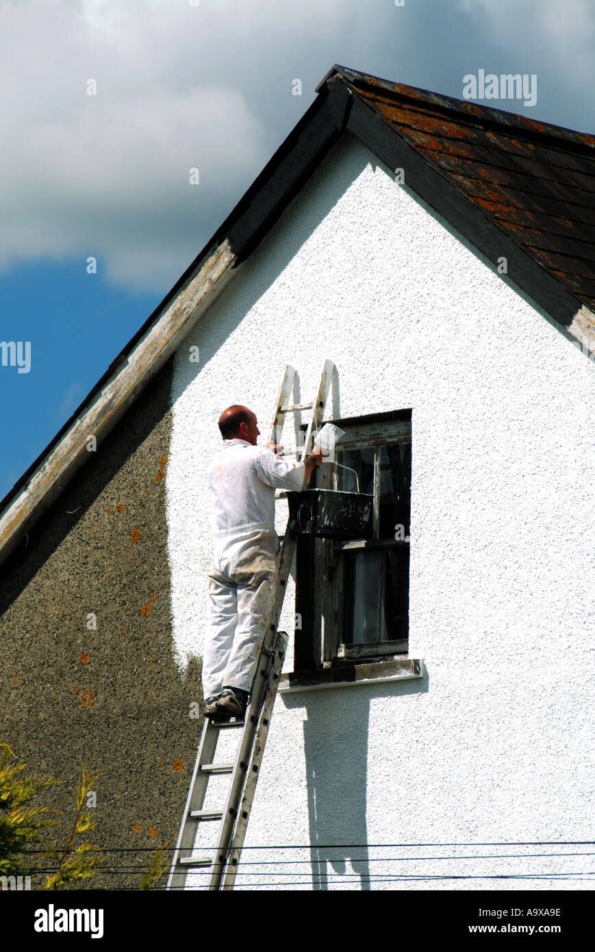 Mann auf der Leiter Verzierung gerendert Wände des Hauses mit weißer Farbe Stockfoto