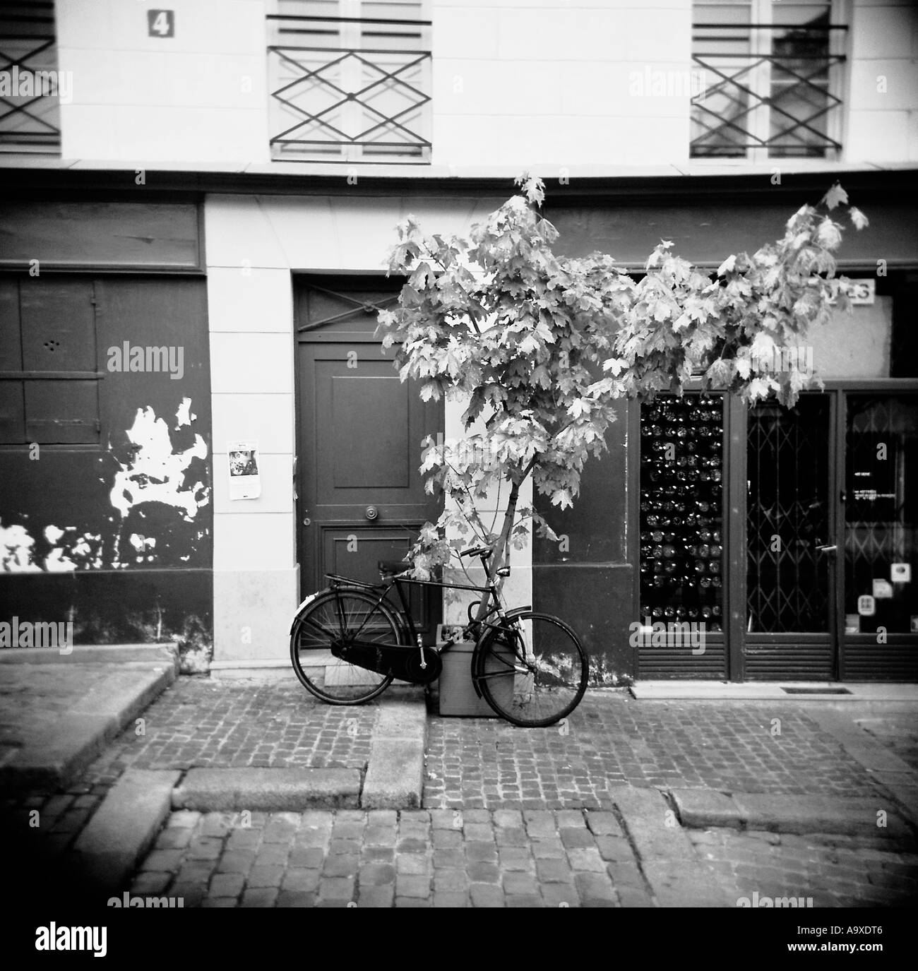 Fahrrad-Paris Stockfoto