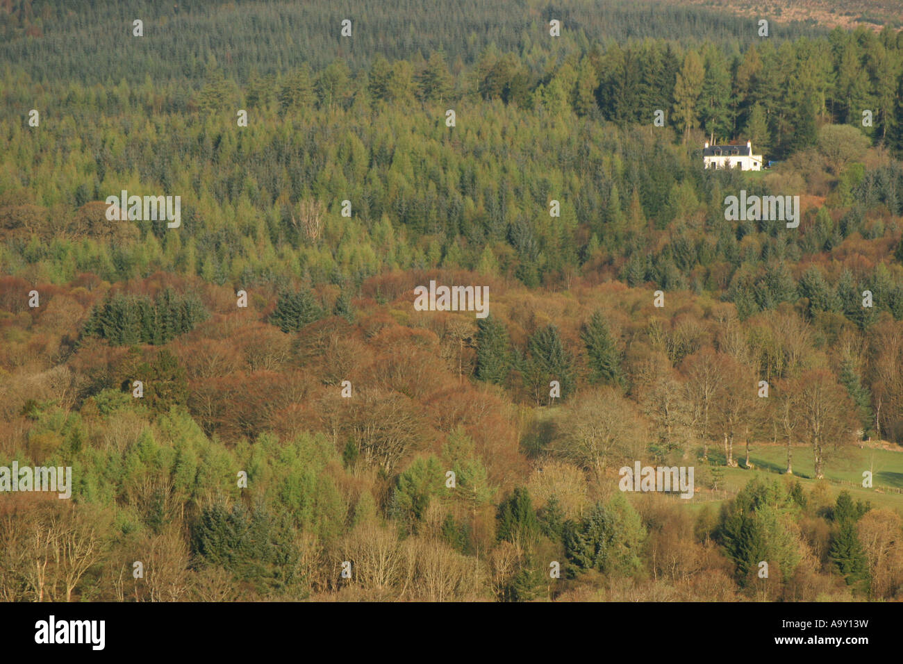 Ein isoliertes Haus befindet sich auf einem Hügel, umgeben von Bäumen Stockfoto