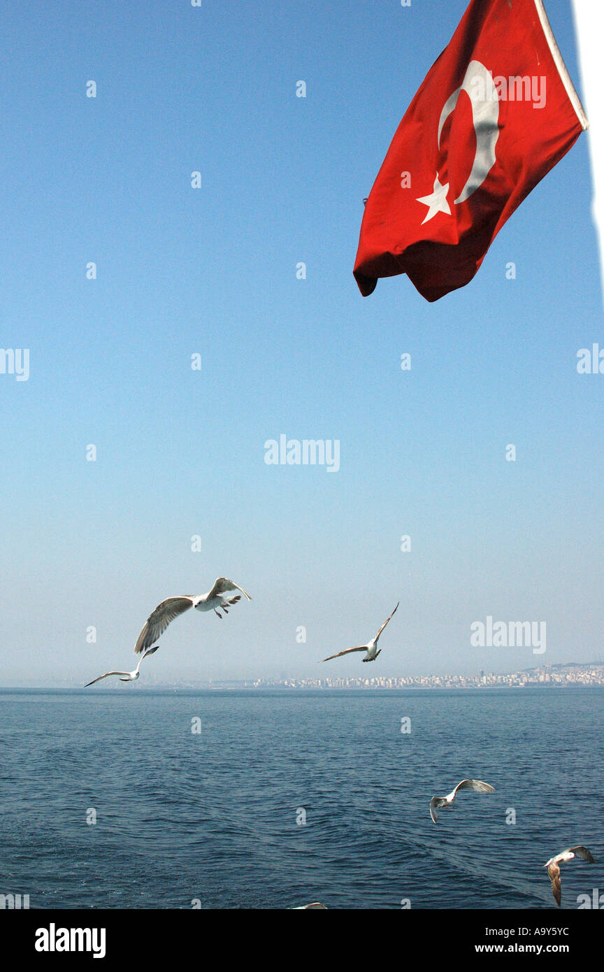 Mowen Und Eine Turkische Flagge Auf Der Ruckseite Der Passagier Fahre Zu Den Prinzen Inseln Turkei Stockfotografie Alamy