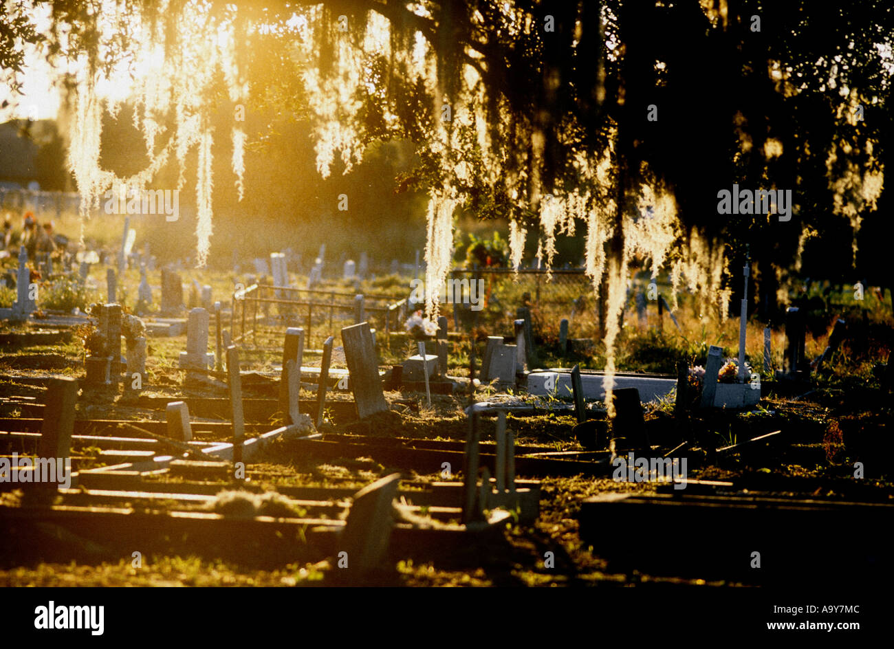 Friedhof von New Orleans Holt glüht in der späten Nachmittagssonne Stockfoto