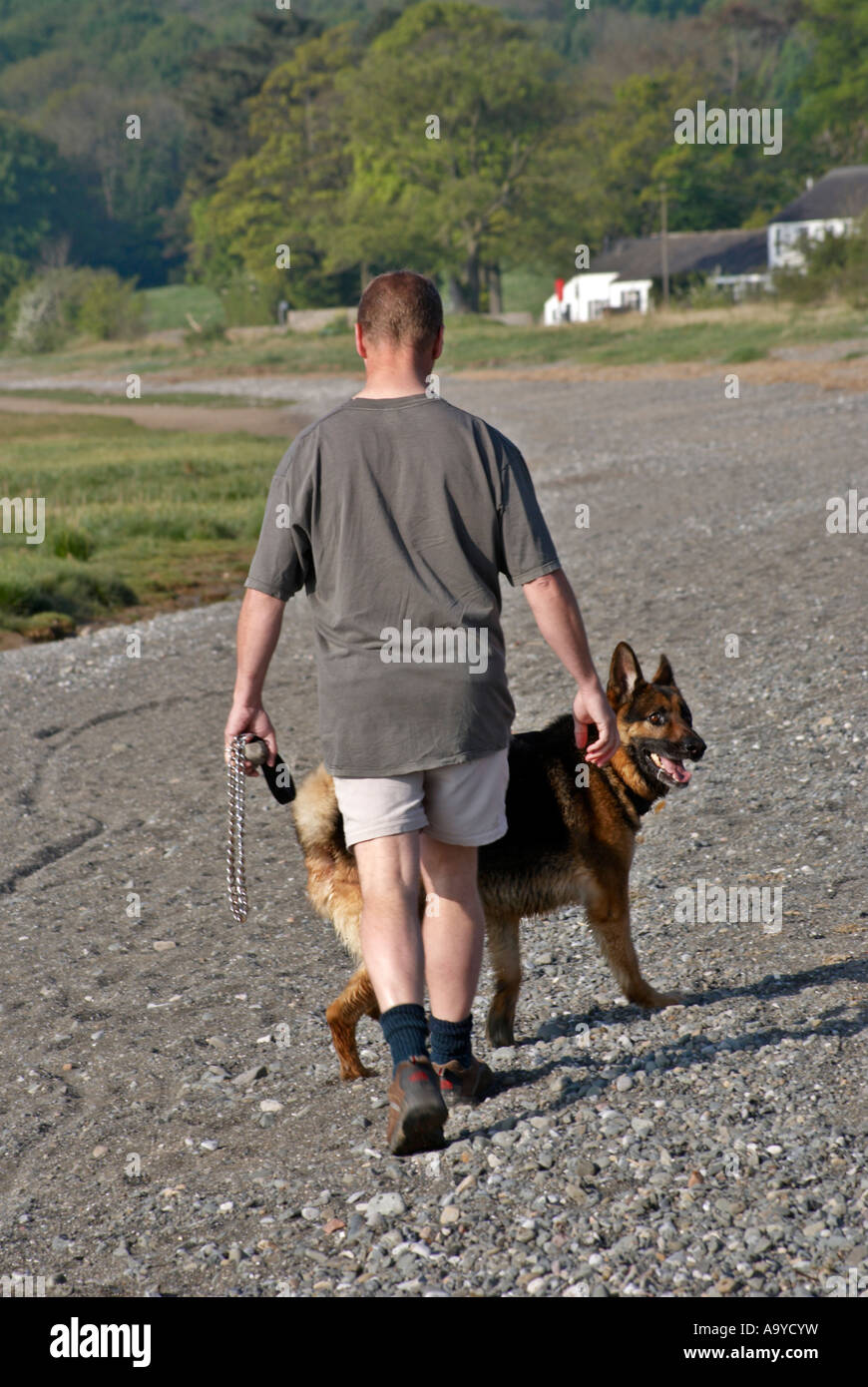 Spaziergang mit dem Hund Stockfoto