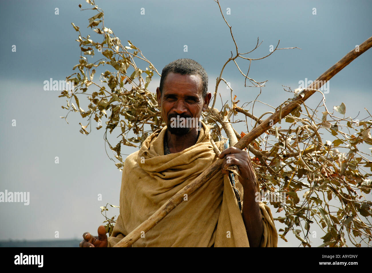 Landsmann trägt einen Umhang und einen Stock trägt Brennholz Äthiopien Stockfoto