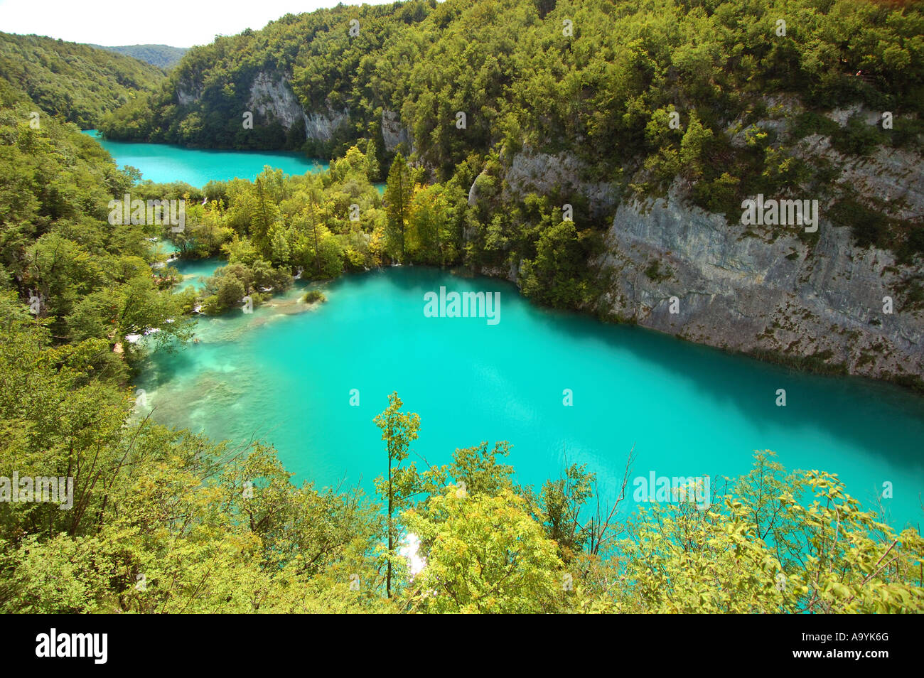 Türkisfarbene Seen und üppige Vegetation in den Nationalpark der Plitvicer Seen, Kroatien Stockfoto