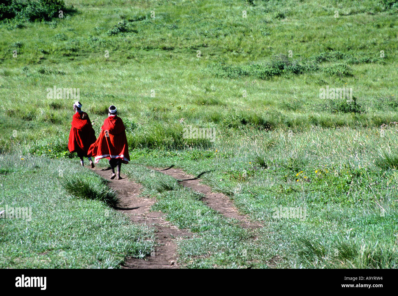 Wandern in der Nähe von Ngorogoro Crater Masai Stamm-Mitglieder Stockfoto