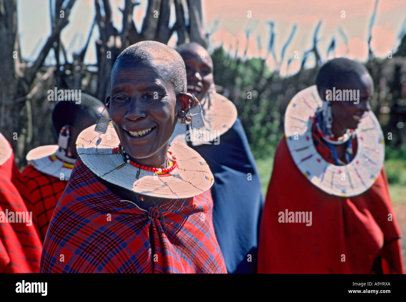 Masai Frauen begrüßen Besucher einer Boma in der Nähe des Ngorogoro Kraters. Tansania, Afrika. Stockfoto