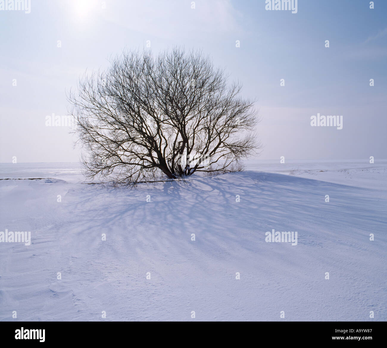 IJsselmeer Strand nach starkem Schneefall, Niederlande Stockfoto