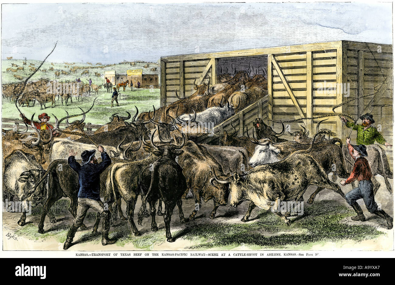Laden Texas Vieh auf der Kansas Pacific Railway in Abilene Kansas 1870. Hand - farbige Holzschnitt Stockfoto