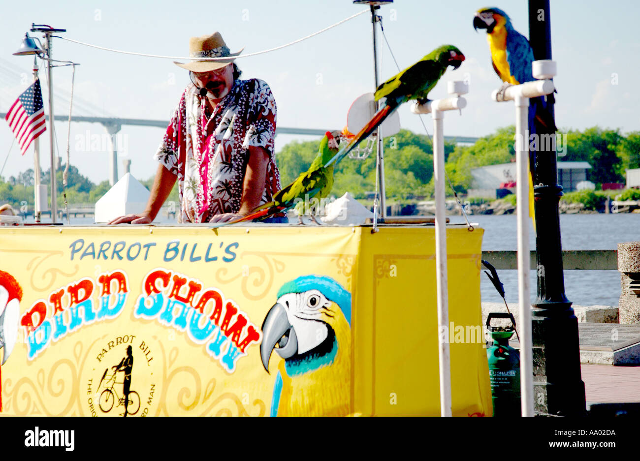 Lebendige Papageien spielen Tricks bei der Parrot Bill's Bird Show in Savannah, Georgia, USA. Stockfoto