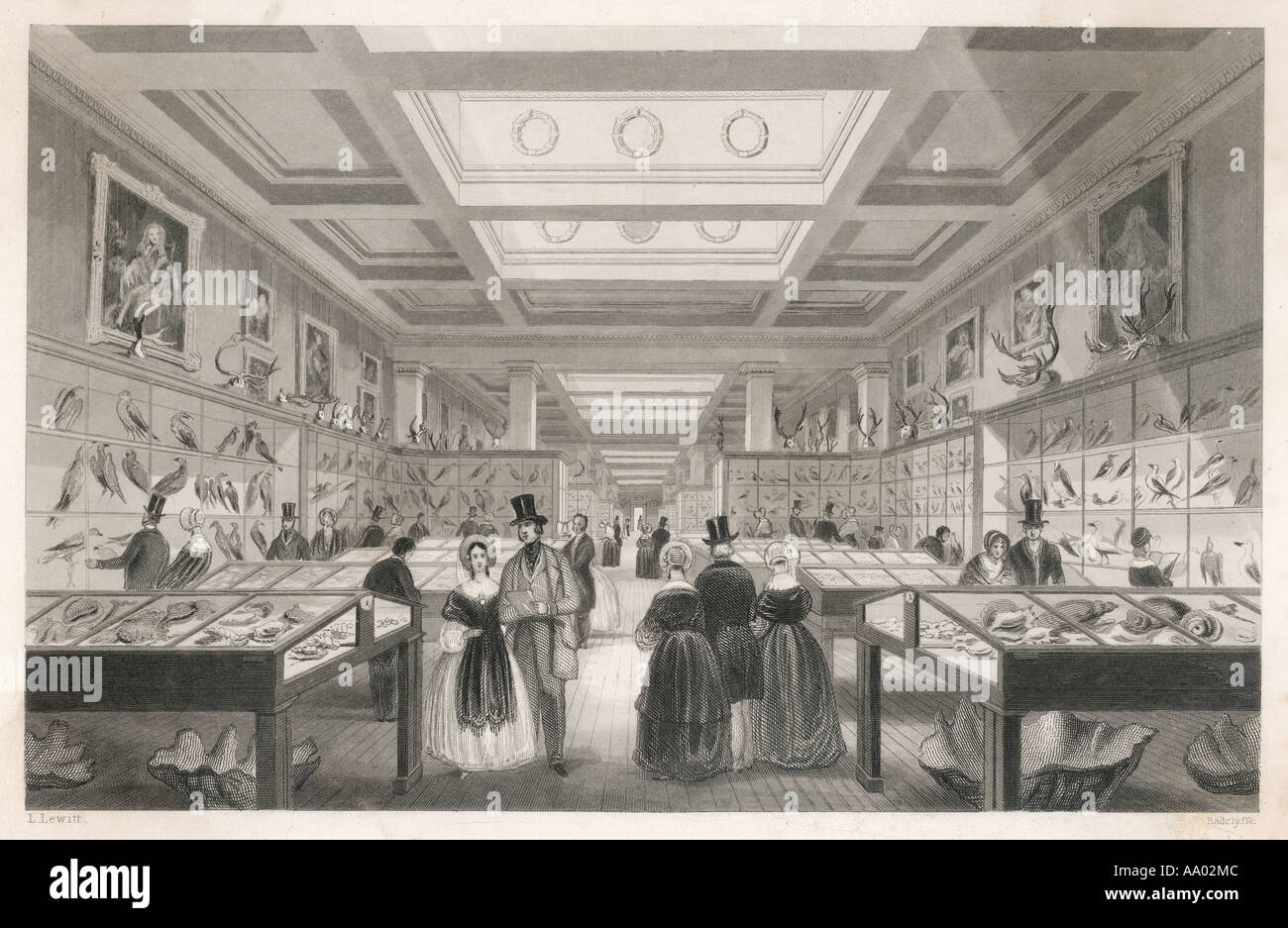 British Museum Zoologica Stockfoto