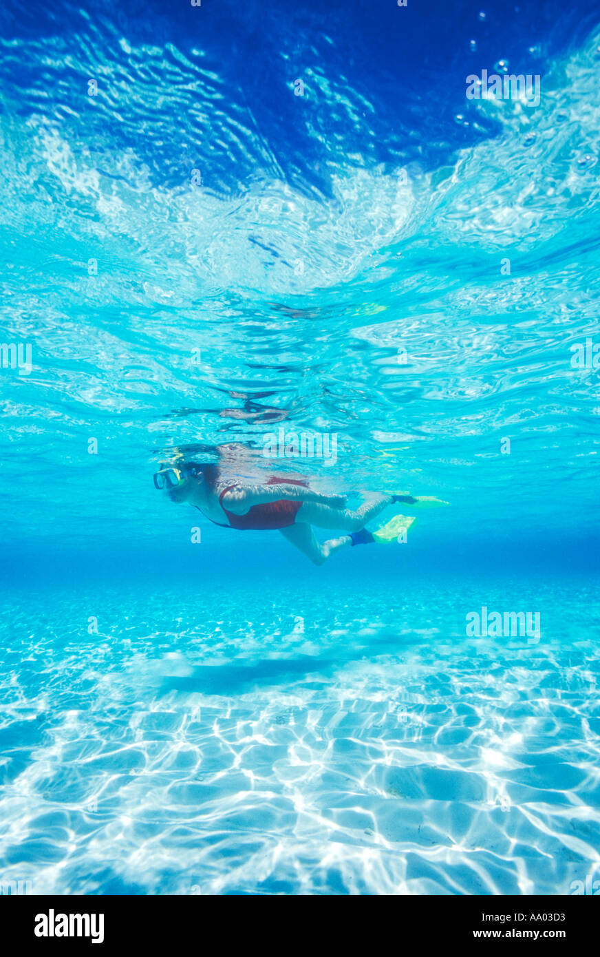 Schnorcheln im klaren seichten Wasser Nord Male Atoll Malediven Modell veröffentlicht Bild Frau Stockfoto