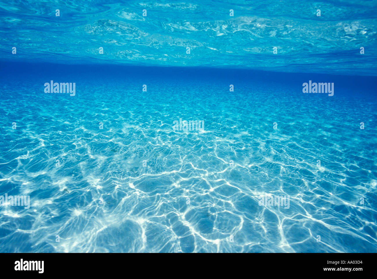 Flachen Unterwasser-Szene über Sandboden Malediven Indischer Ozean Stockfoto