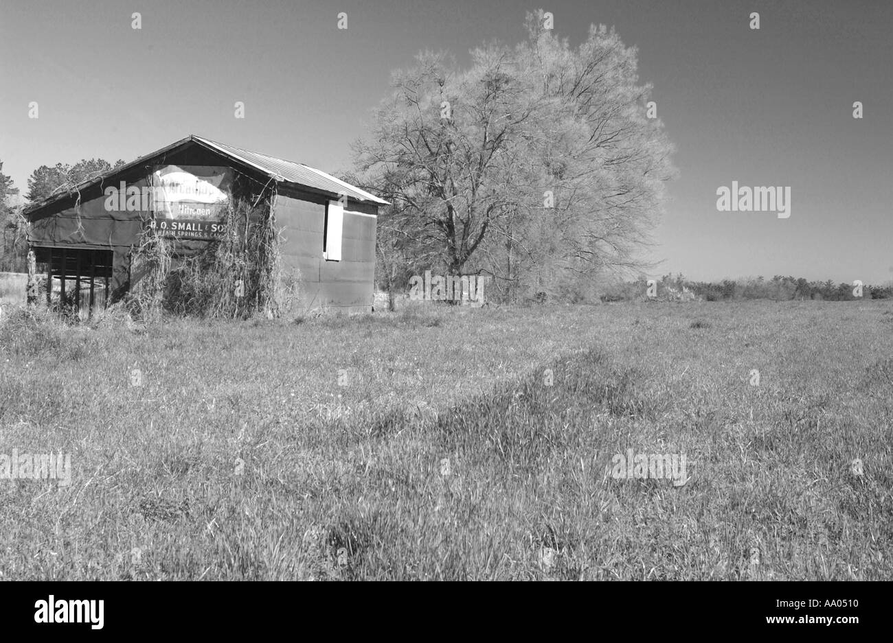 Alte Scheune in einer ländlichen Gegend von Upstate South Carolina, USA, umgeben von natürlicher Landschaft und sanften Hügeln. Stockfoto