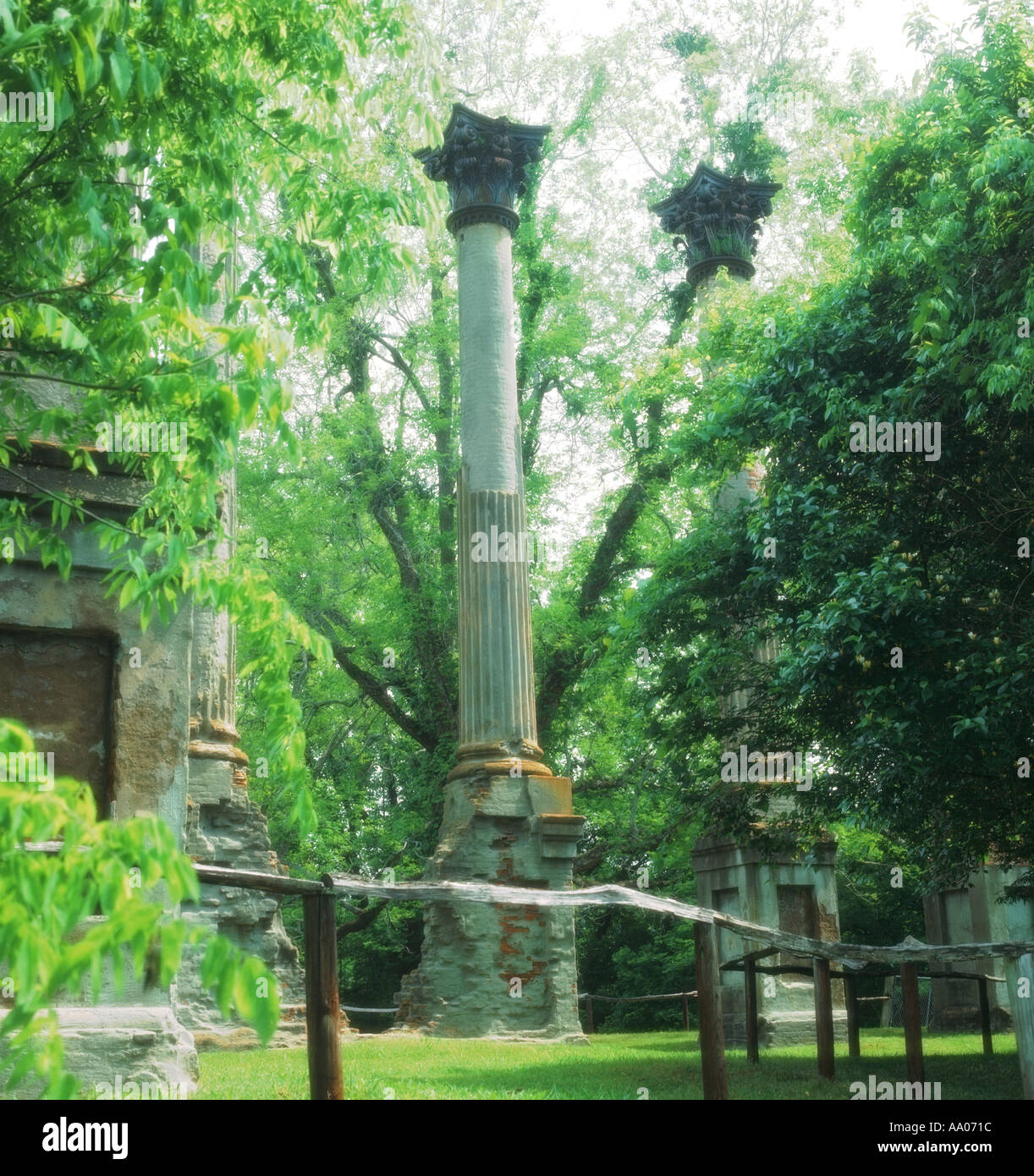 Ruinen von Windsor-Plantage Alcorn Mississippi USA Stockfoto