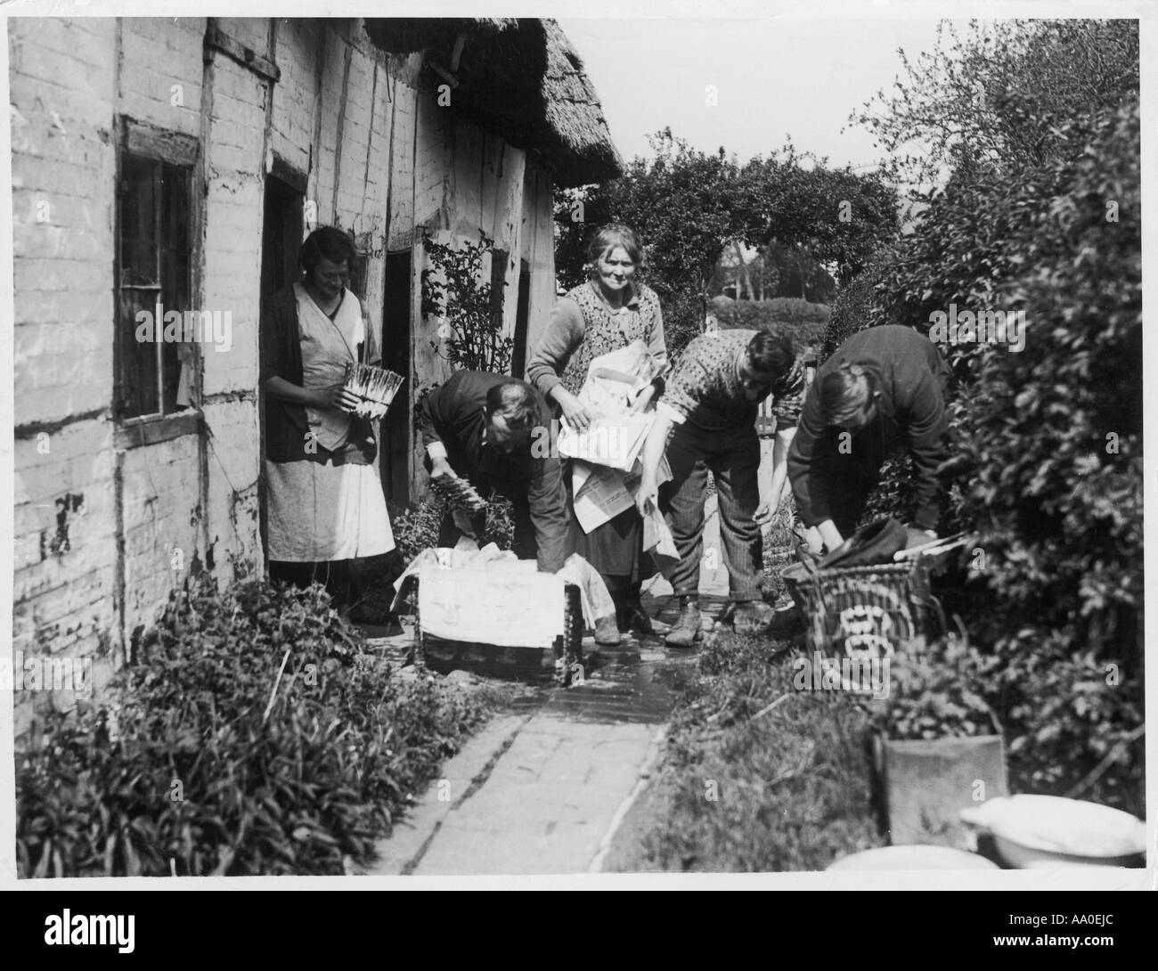 Verpackung-Spargel Stockfoto