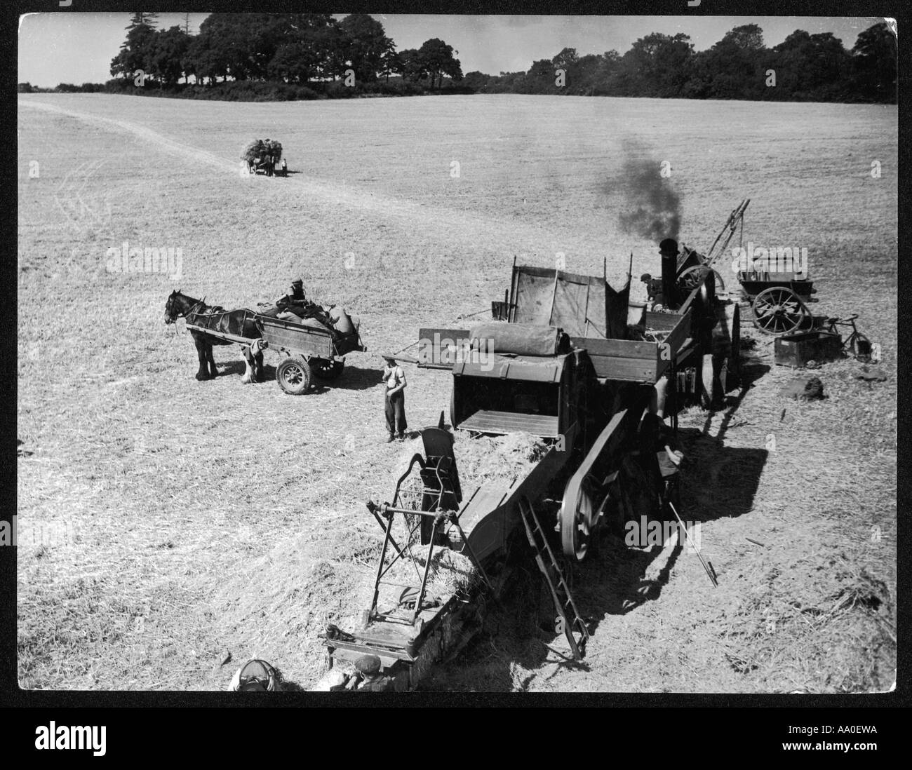 Dampf-Drescher der 1930er Jahre Stockfoto