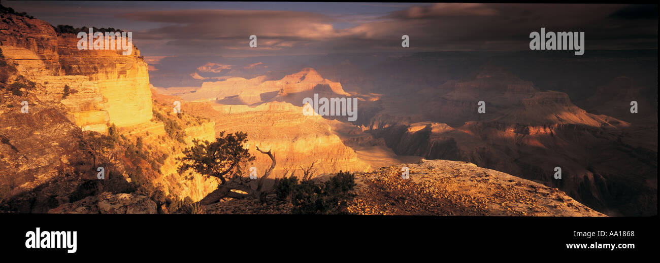 Grand Canyon Arizona USA Stockfoto