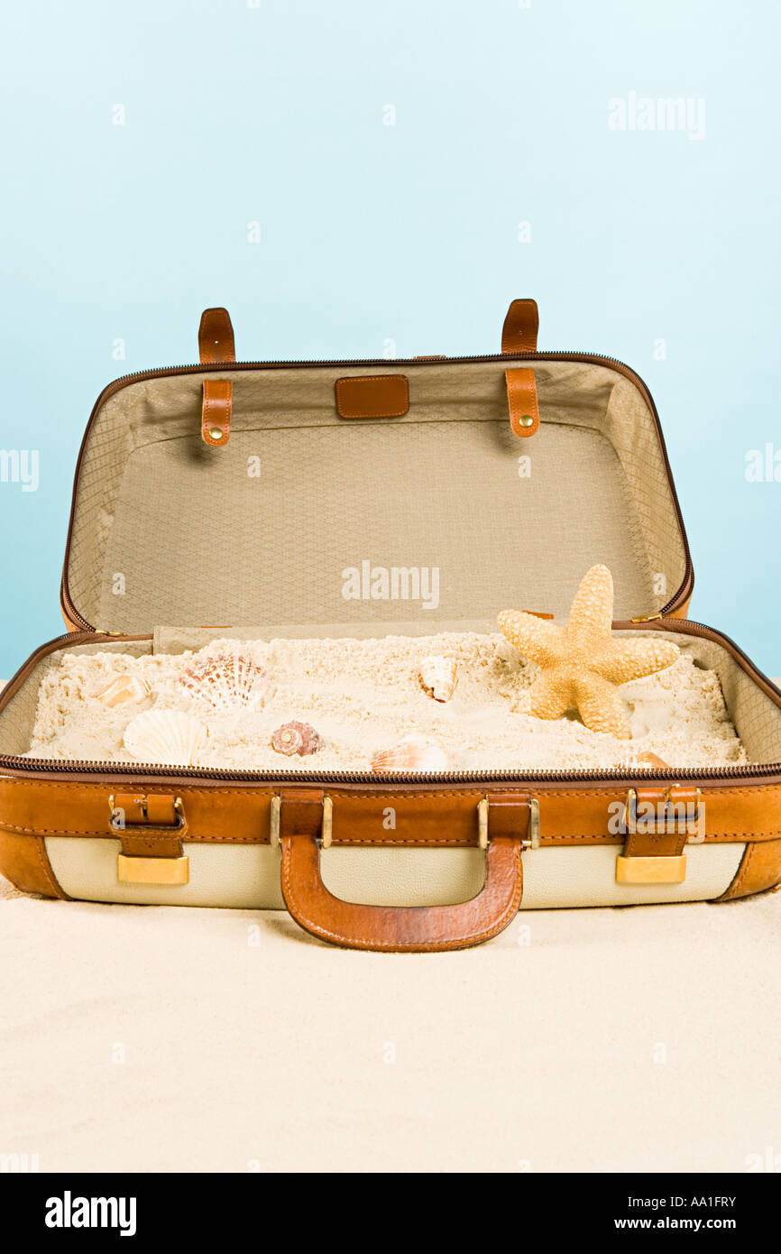Seesterne Muscheln und Sand in einem Koffer Stockfoto