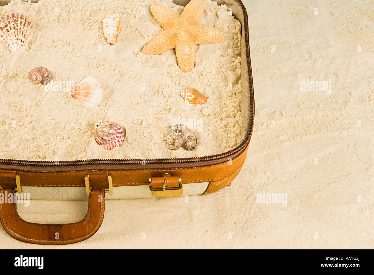Seesterne Muscheln und Sand in einem Koffer Stockfoto
