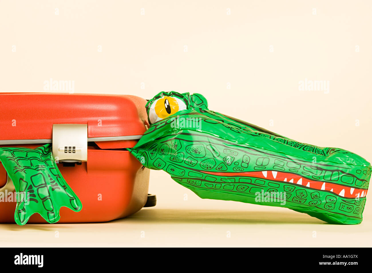 Aufblasbare Krokodil in einem Koffer Stockfoto