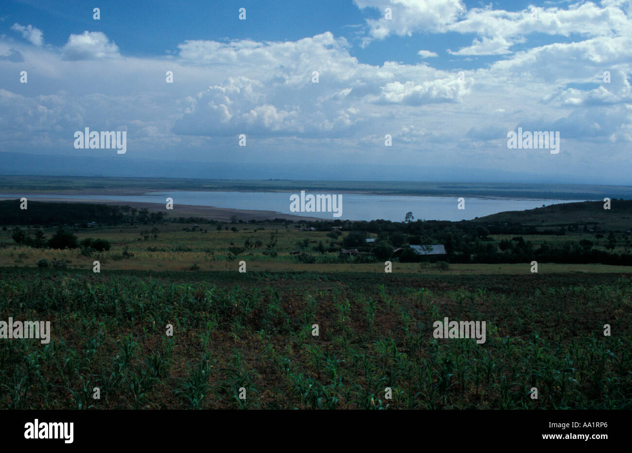Blick auf Lake Baringo Kenia Afrika Stockfoto