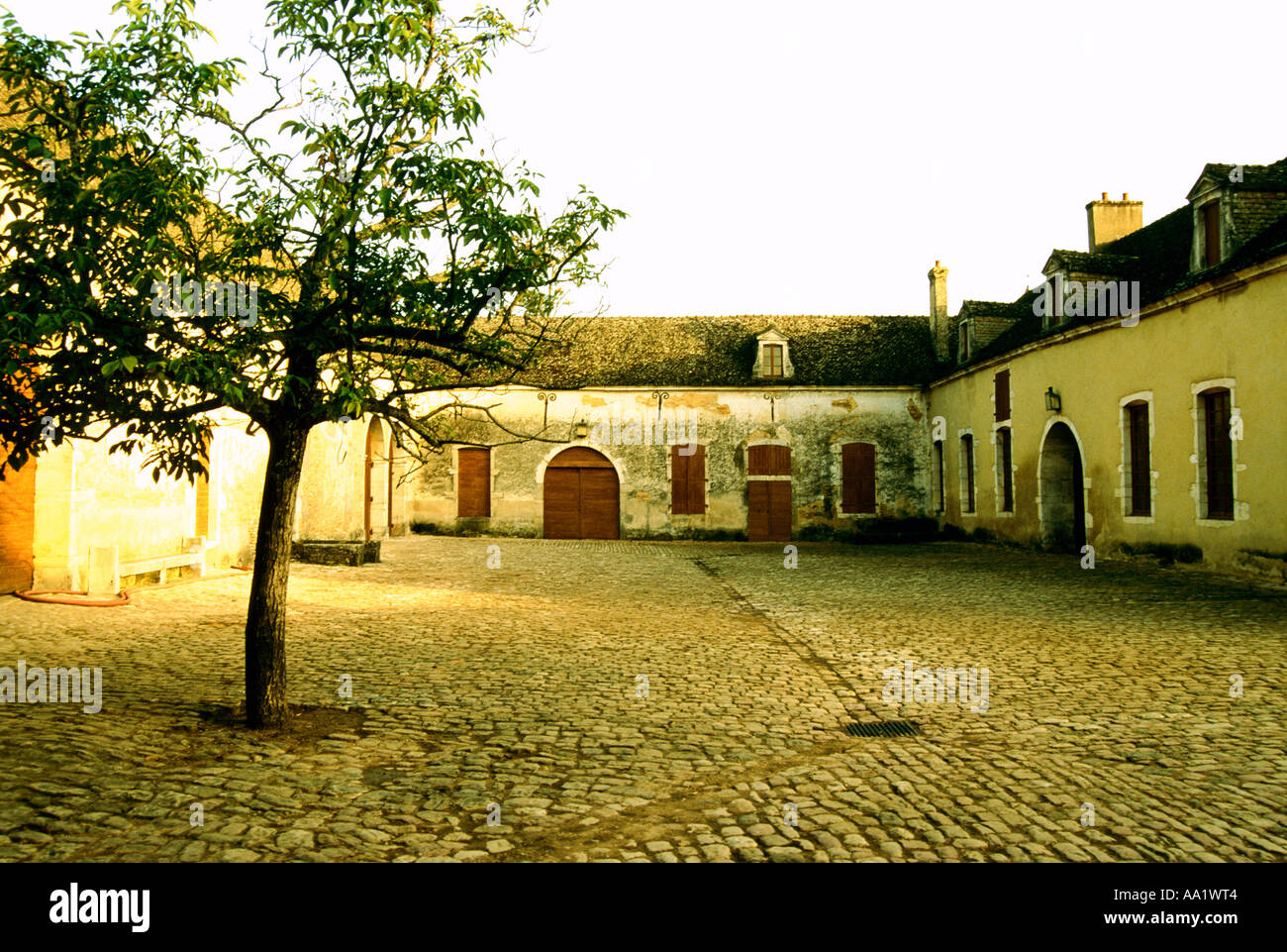 Frankreich, Burgund, Auxerre, Gebäude am Weinberg Stockfoto