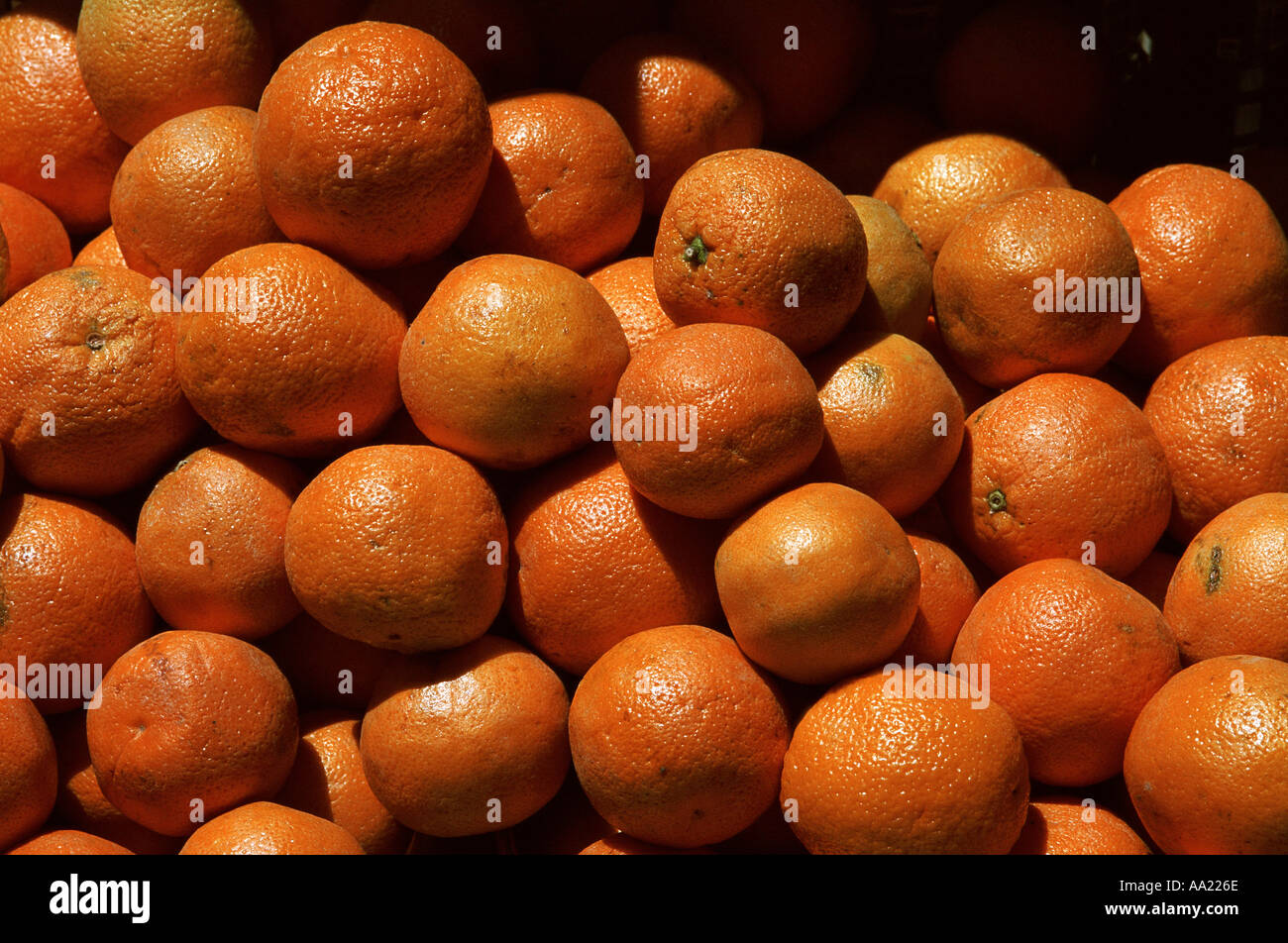 Israel-Orangen Stockfoto