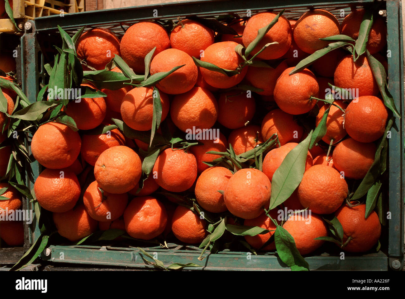 Israel-Orangen Stockfoto