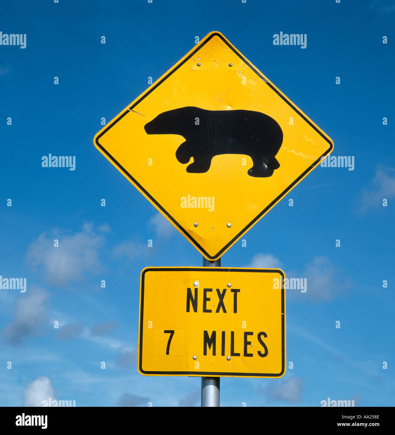 Verkehrszeichen für Black Bears Crossing, Florida, USA Stockfoto